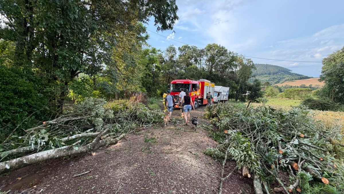 Bombeiros e moradores em estrada com árvores derrubadas pelo vendaval em Quilombo, no Oeste de Santa Catarina