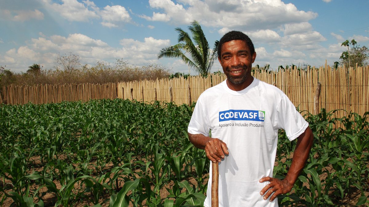 Agricultor com camiseta da Codevasf posa na sua plantação de milho, em foto de novembro de 2013