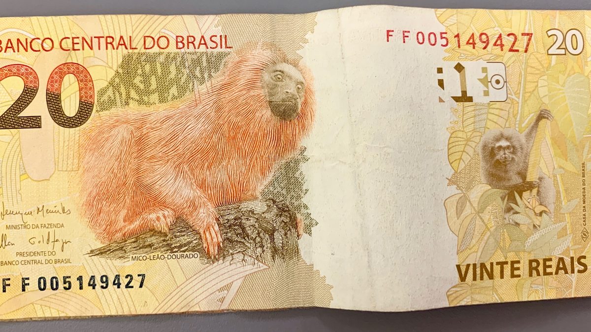 Nota de 20 reais com o mico-leão-dourado sobre uma mesa